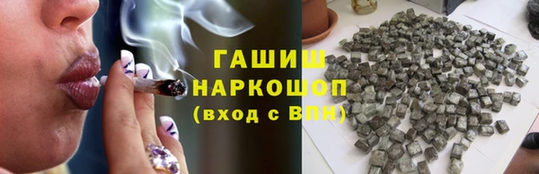 гашиш Богданович